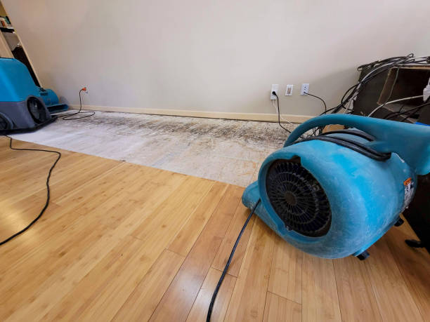 Professional Emergency Water Damage technician working in Magnolia, NJ